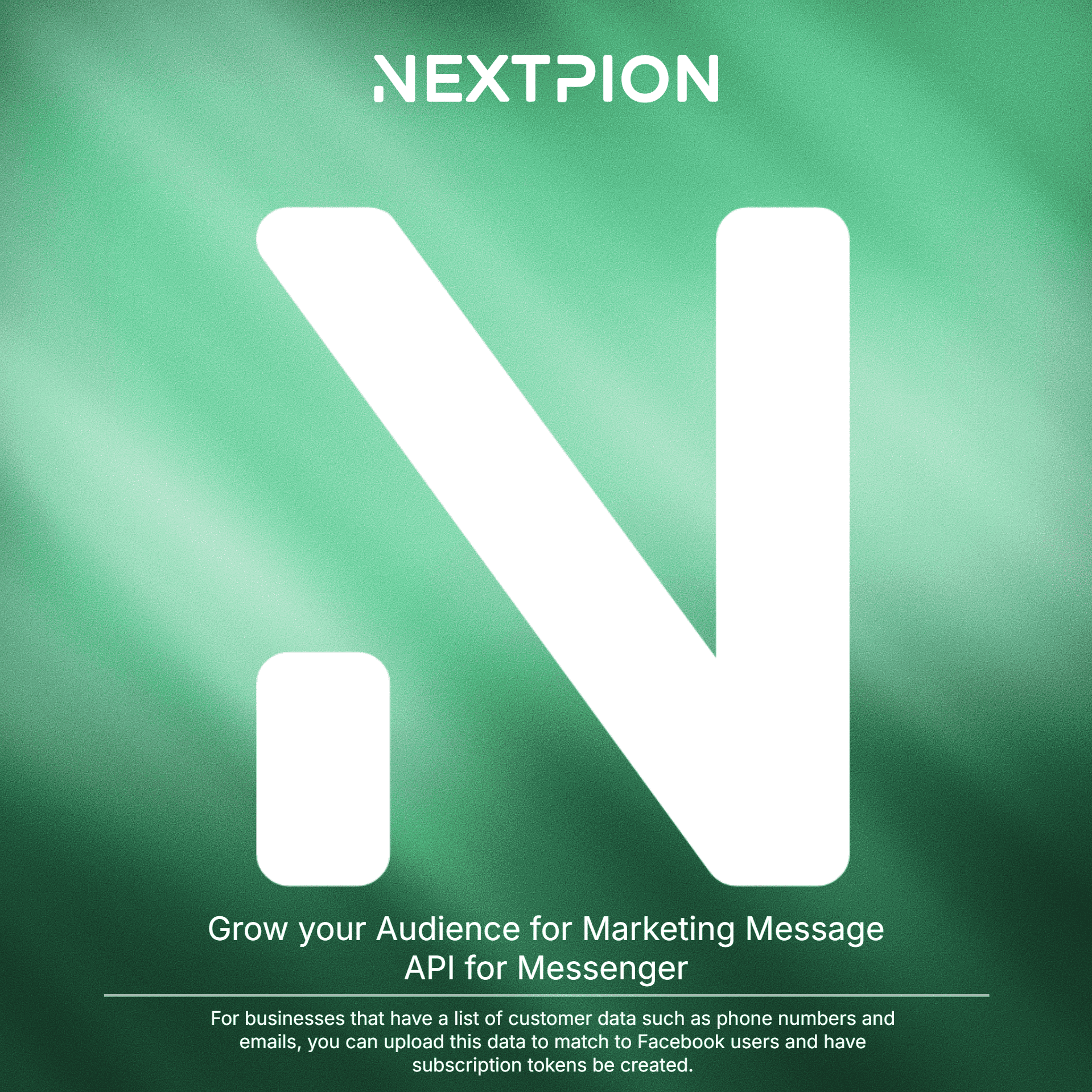 NEXTPION - Marketing Message Custom Audiences